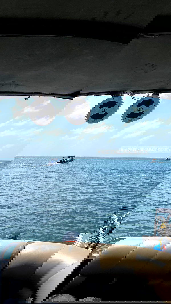 paula_valentina_gomez image ~ Altpins