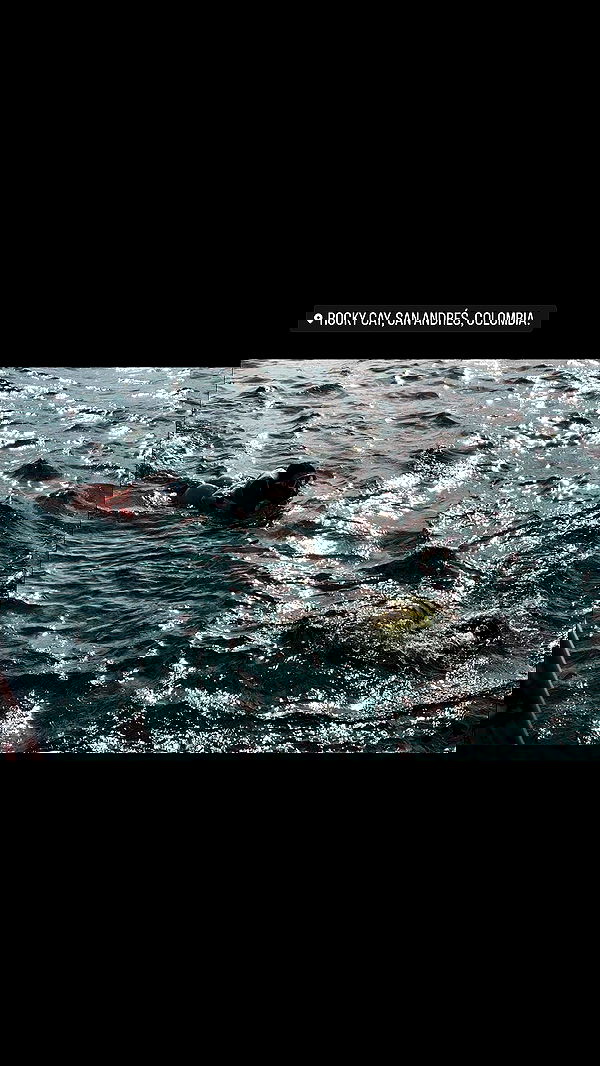 paula_valentina_gomez image ~ Altpins