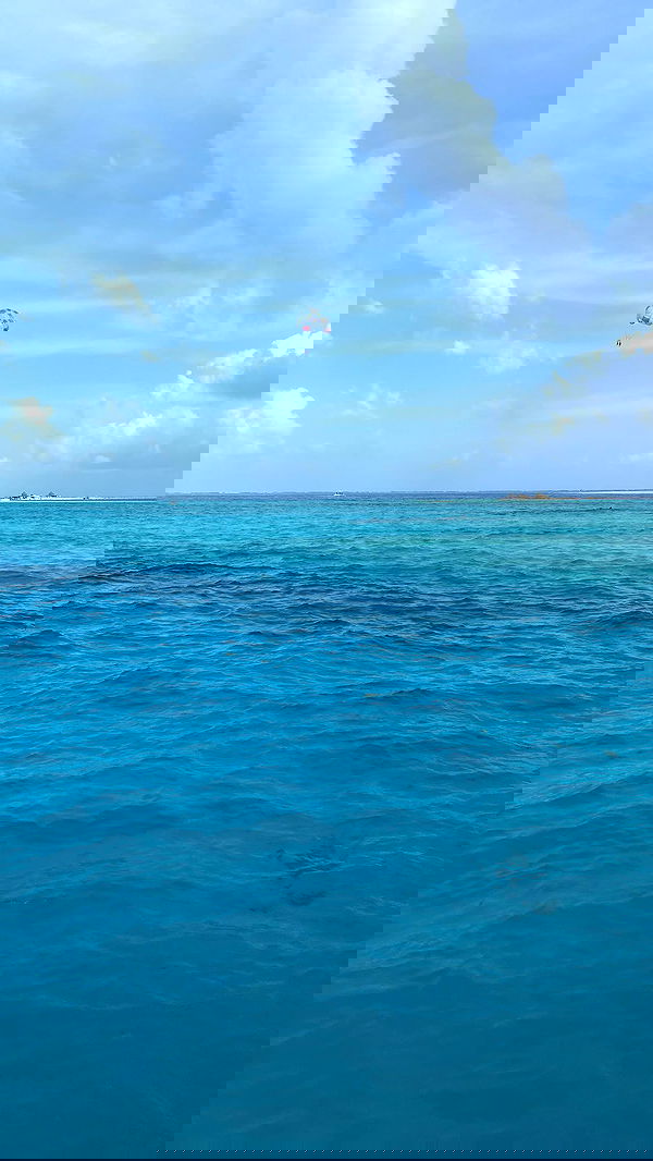 paula_valentina_gomez image ~ Altpins