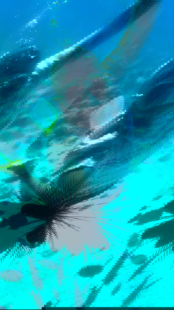 paula_valentina_gomez image ~ Altpins