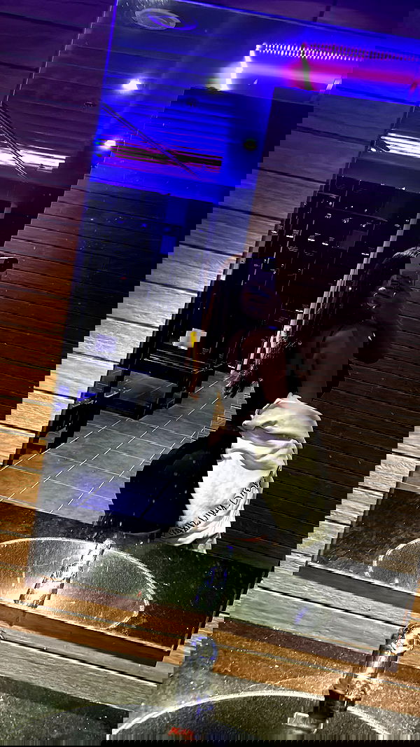 paula_valentina_gomez image ~ Altpins