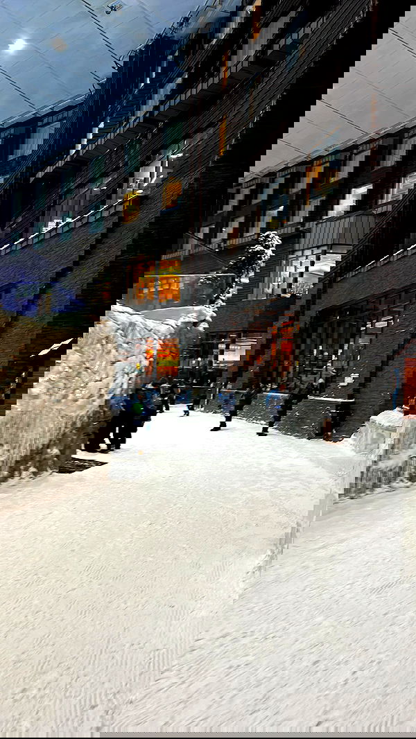 paula_valentina_gomez image ~ Altpins