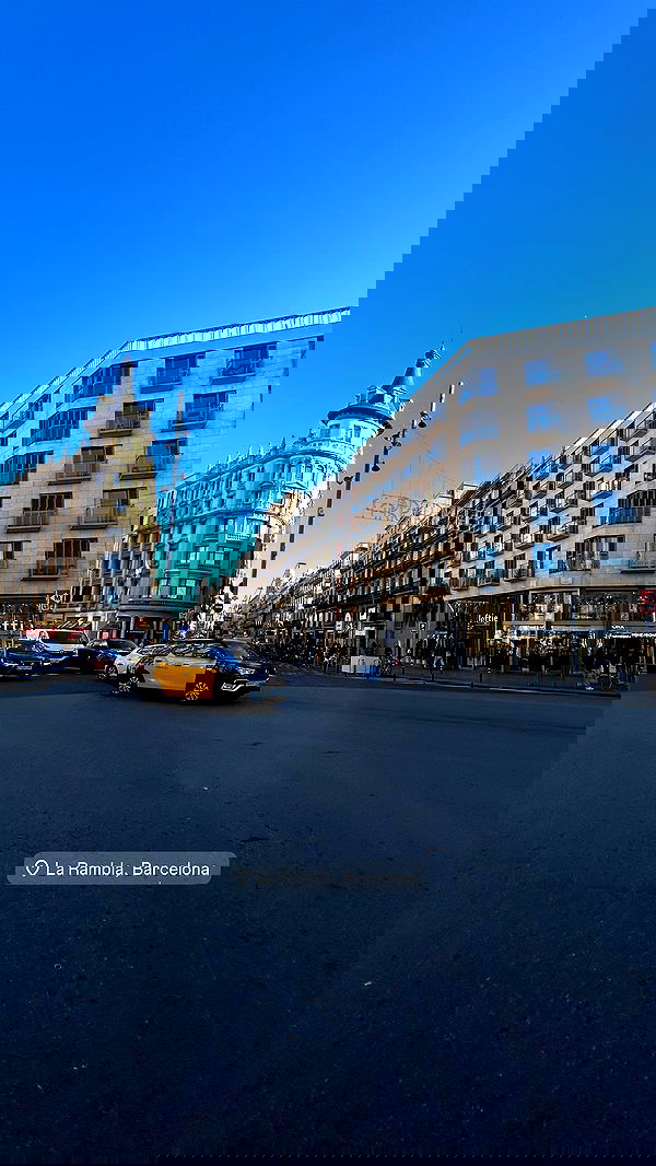 paula_valentina_gomez image ~ Altpins