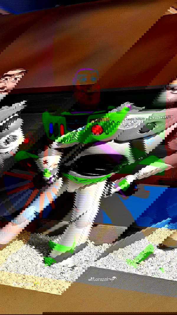 paula_valentina_gomez image ~ Altpins