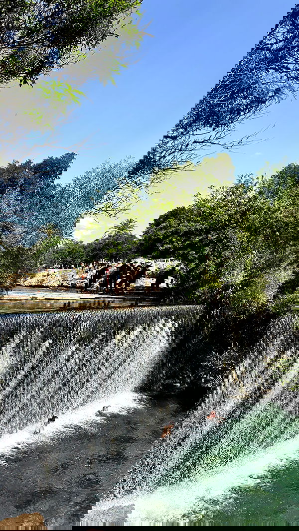 paula_valentina_gomez image ~ Altpins