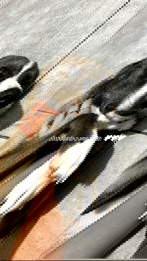 paula_valentina_gomez image ~ Altpins