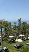paula_valentina_gomez Altpins Profile Picture