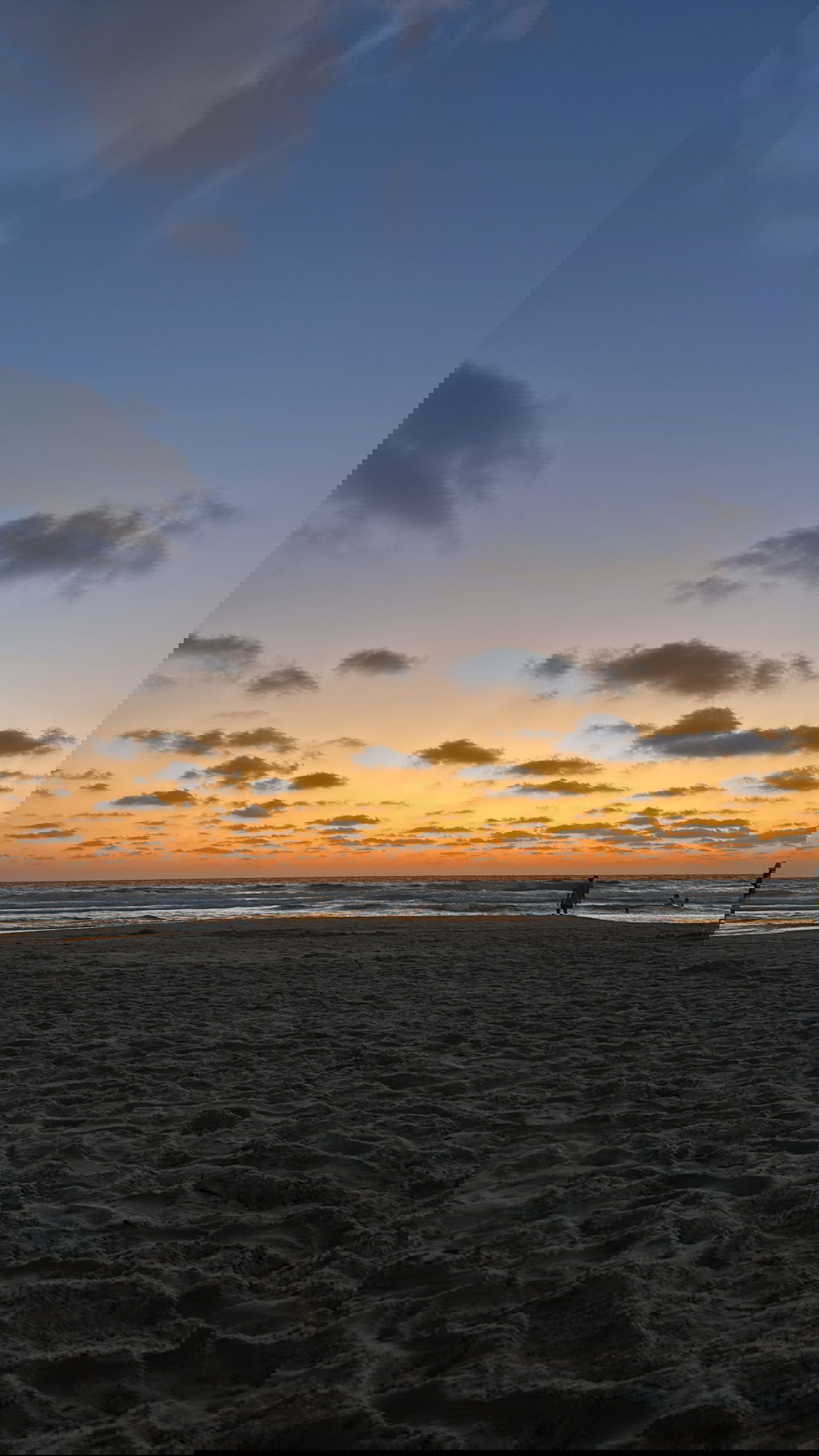 paula_valentina_gomez instagram image archive image