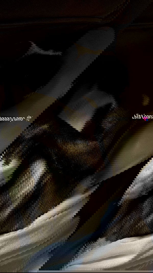 paula_valentina_gomez image ~ Altpins