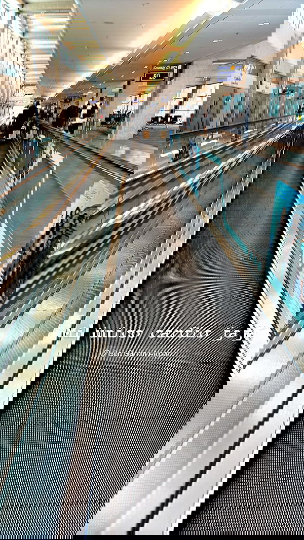 paula_valentina_gomez image ~ Altpins