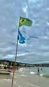 pauuuferreira_ Altpins Profile Picture