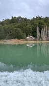 pauuuferreira_ Altpins Profile Picture