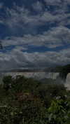 pauuuferreira_ Altpins Profile Picture