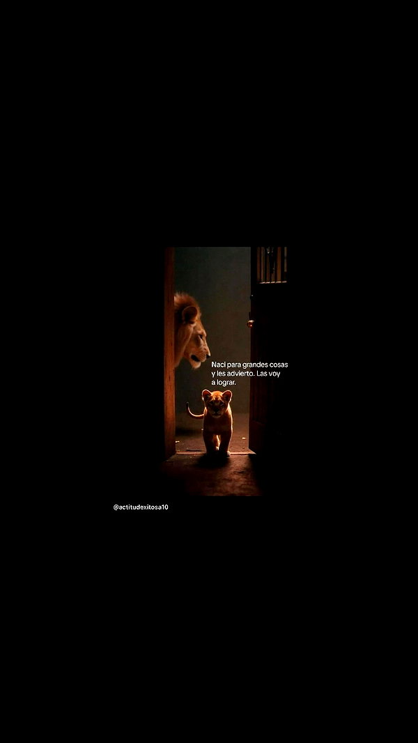 pauuuferreira_ instagram image archive image