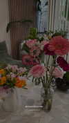 pauuuferreira_ Altpins Profile Picture