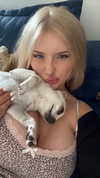 pavoxy Altpins Profile Picture