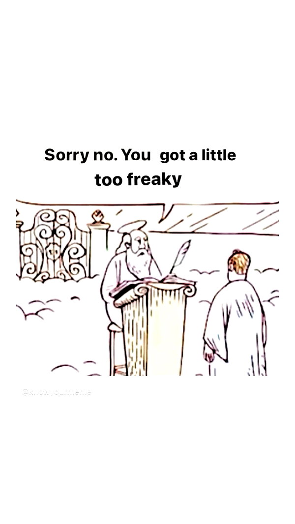 pavoxy instagram image archive image