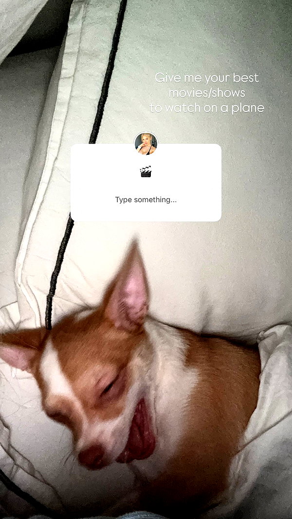 pavoxy instagram image archive image