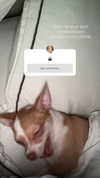 pavoxy Altpins Profile Picture