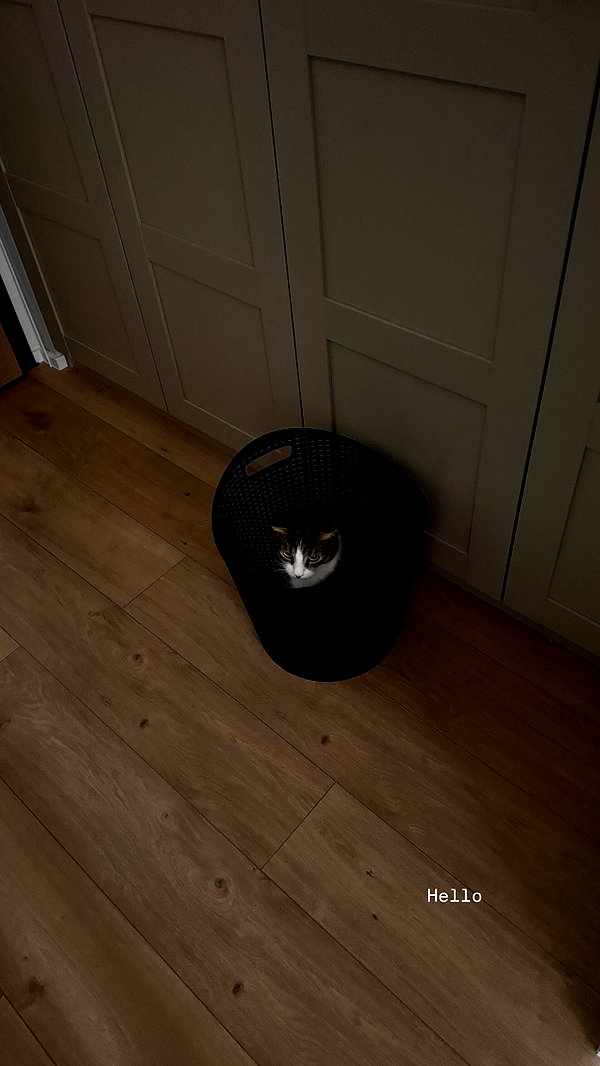 pavoxy instagram image archive image