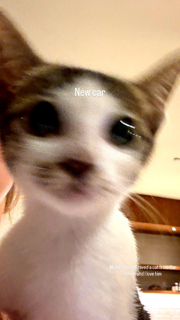 pavoxy instagram image archive image