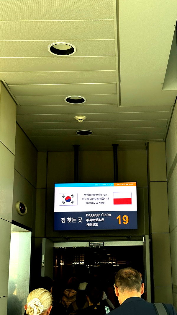 pavoxy instagram image archive image