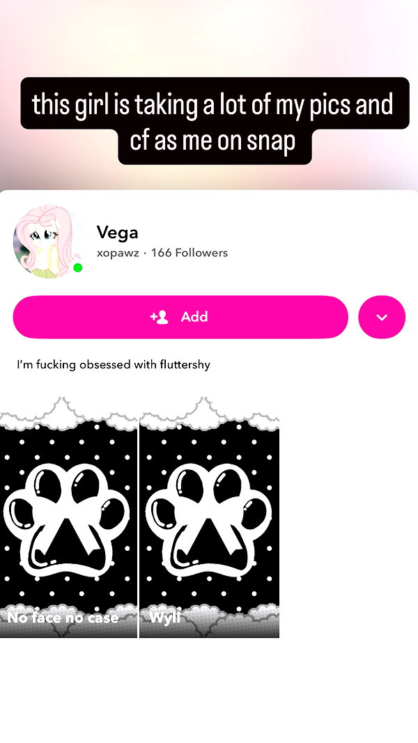 pawcalii instagram image archive image