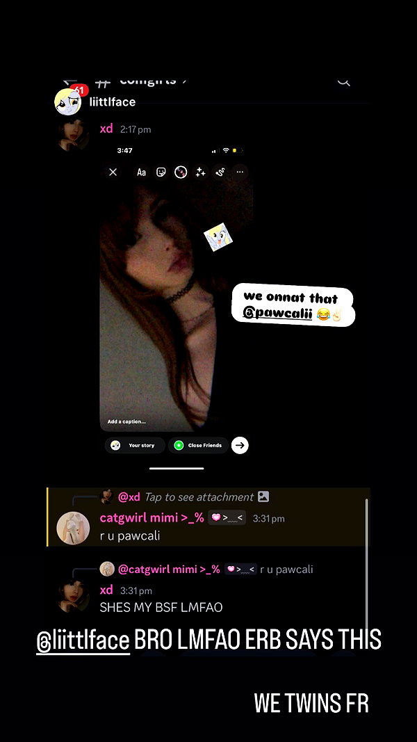 pawcalii instagram image archive image