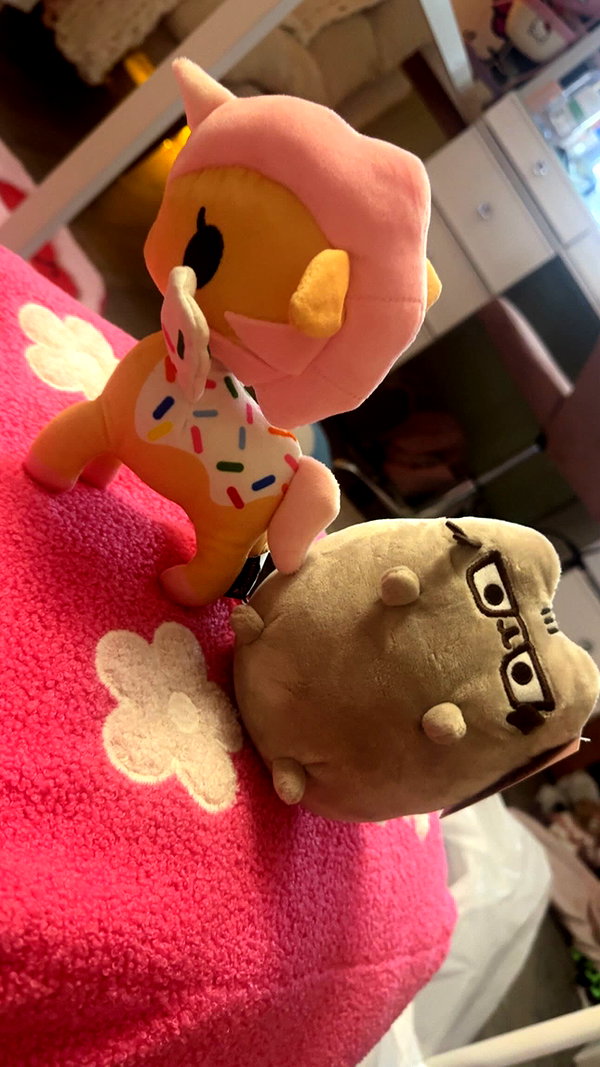 pawcalii instagram image archive image