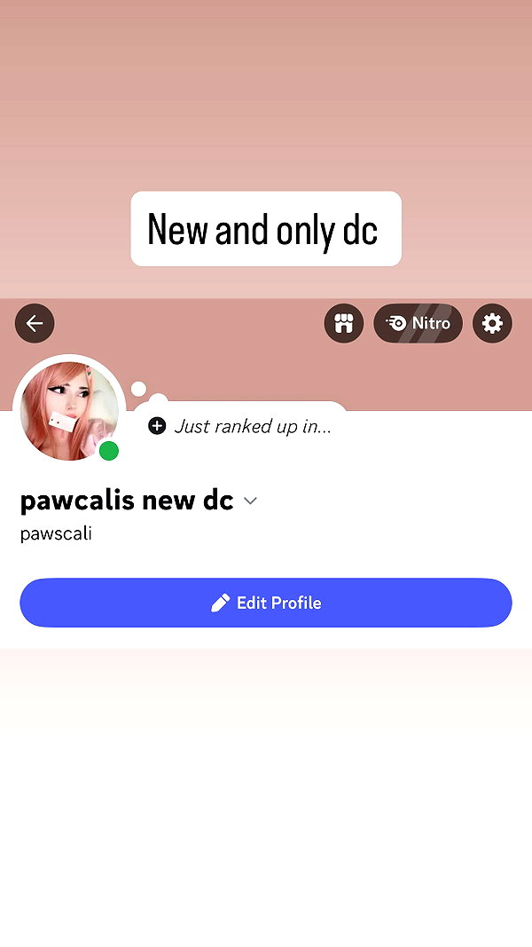 pawcalii pawcalii archive image
