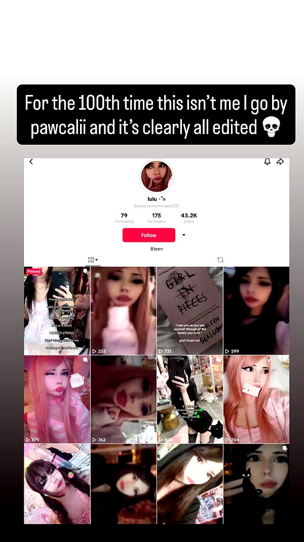 pawcalii pawcalii archive image