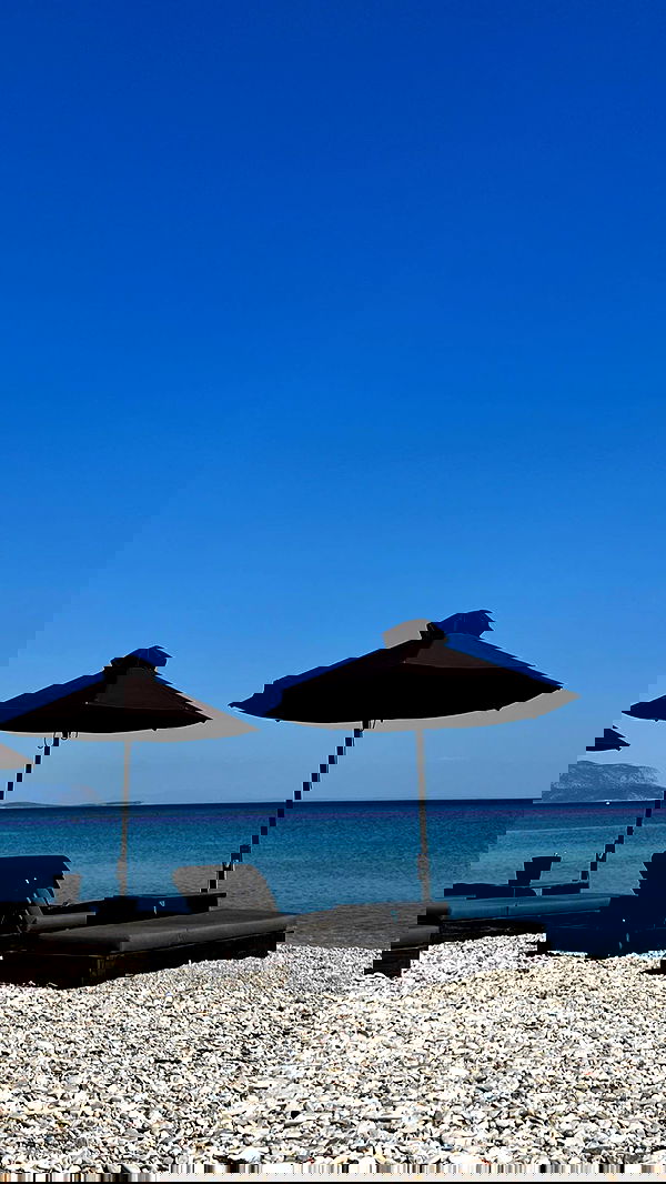 payton.r payton.r archive image