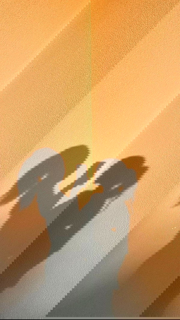 payton.r payton.r archive image