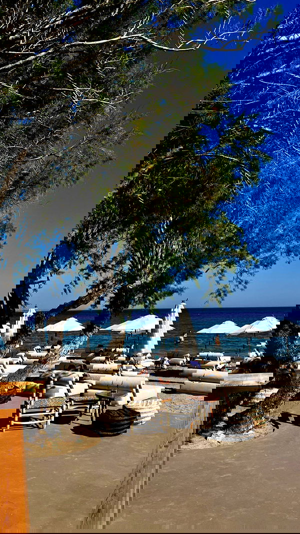 payton.r payton.r archive image