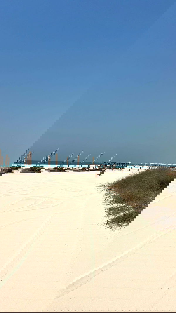 payton.r payton.r archive image