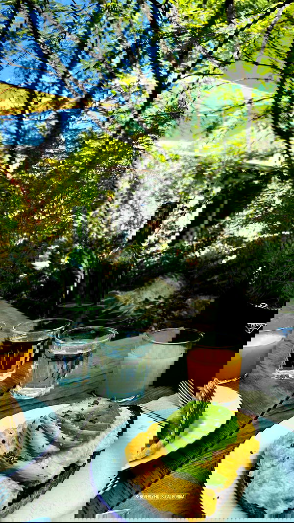 payton.r payton.r archive image