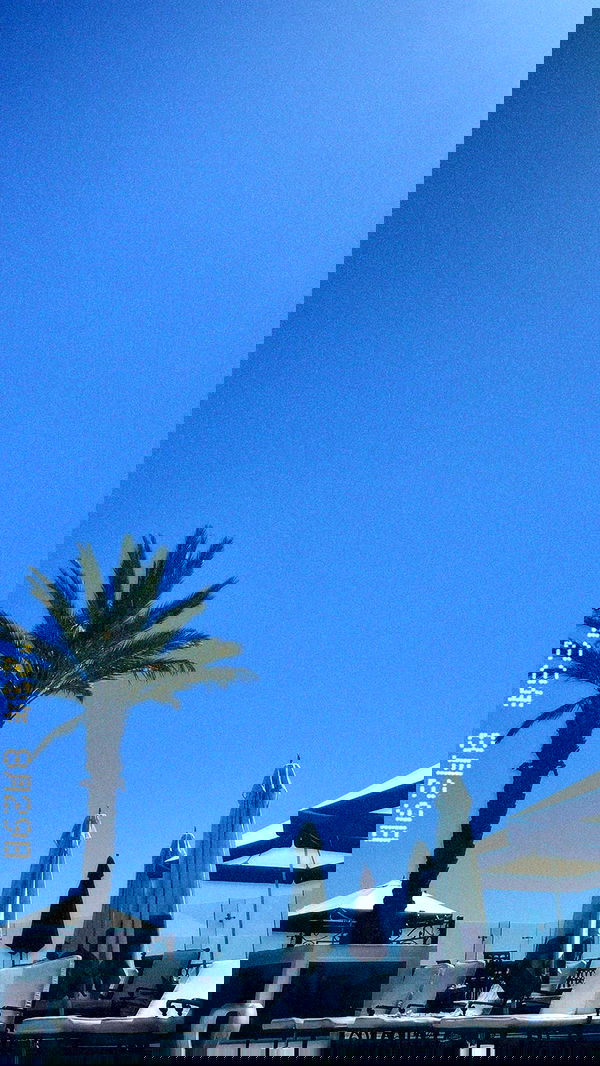 payton.r payton.r archive image