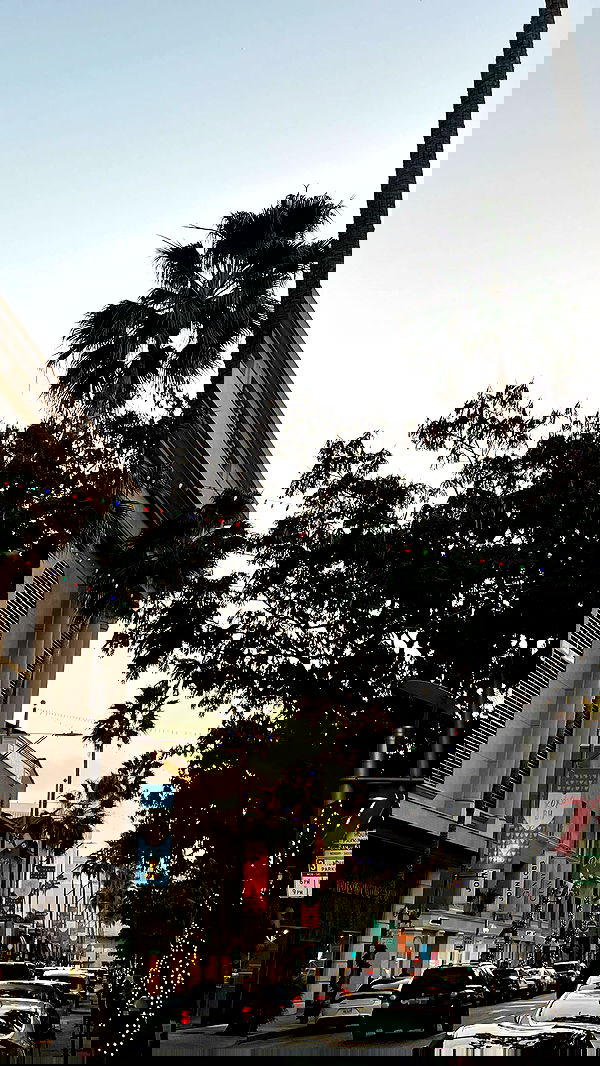 payton.r payton.r archive image