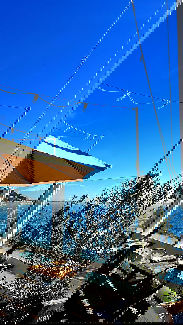 payton.r payton.r archive image