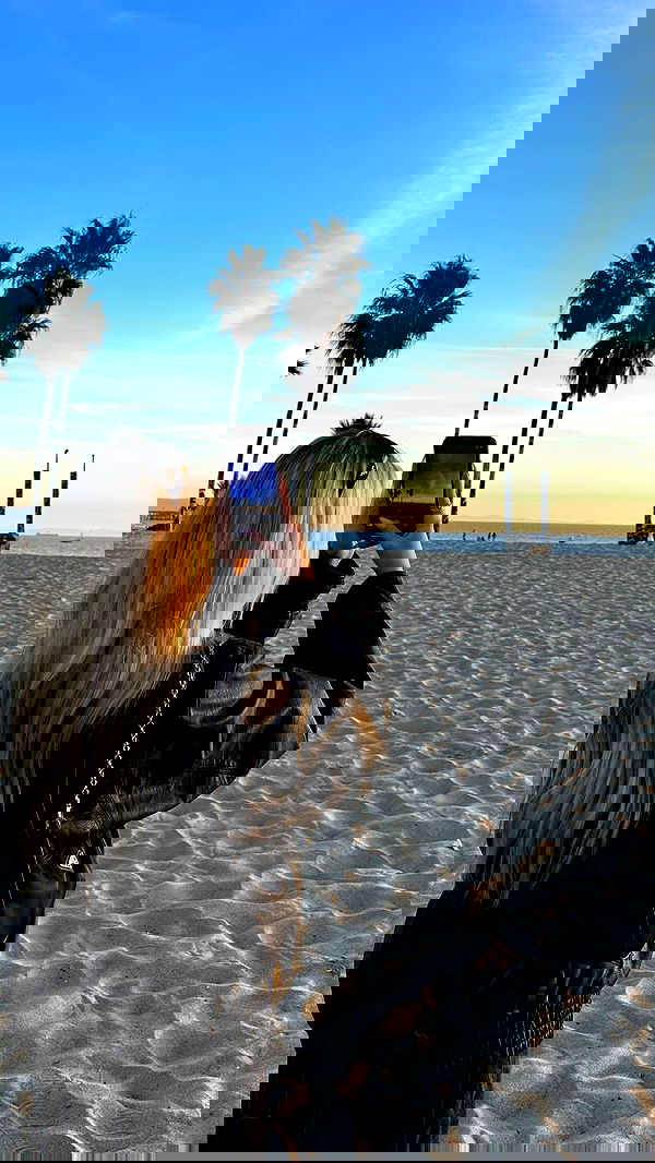 payton.r payton.r archive image