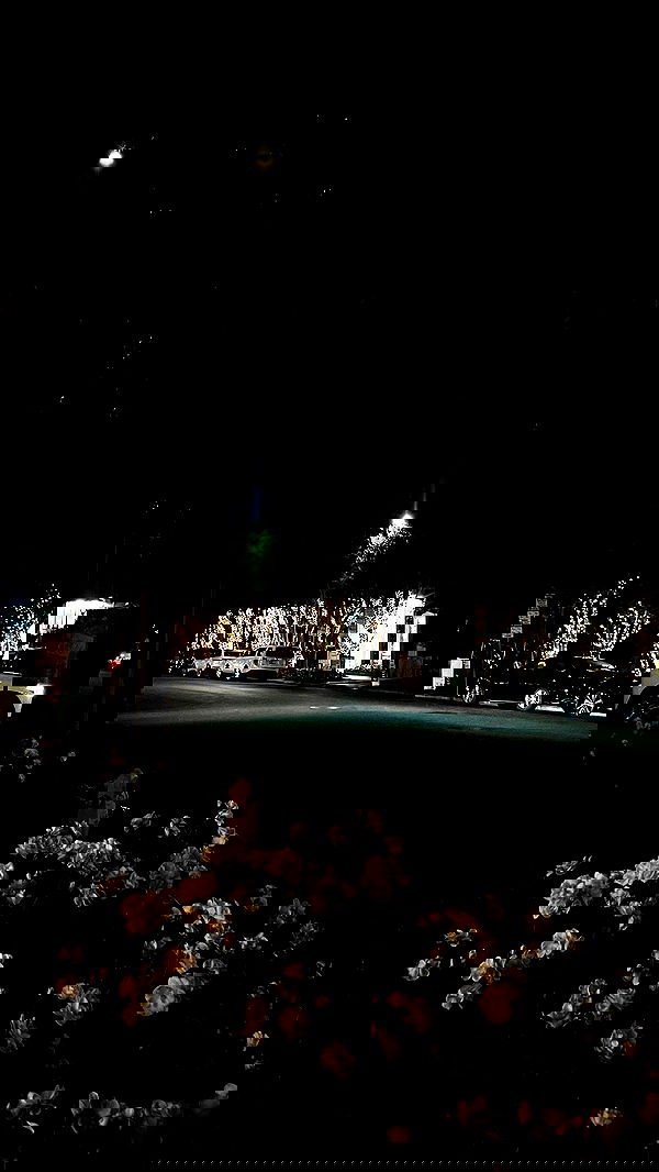 payton.r payton.r archive image