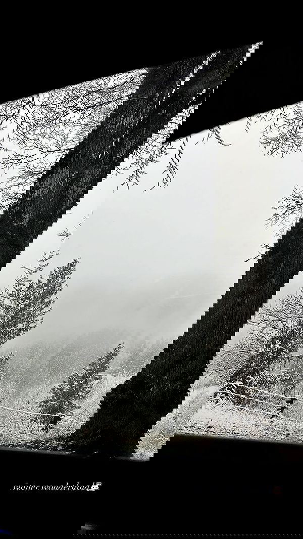 payton.r payton.r archive image