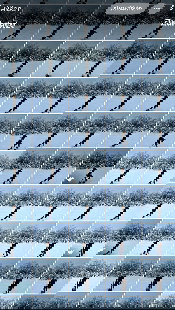 payton.r payton.r archive image