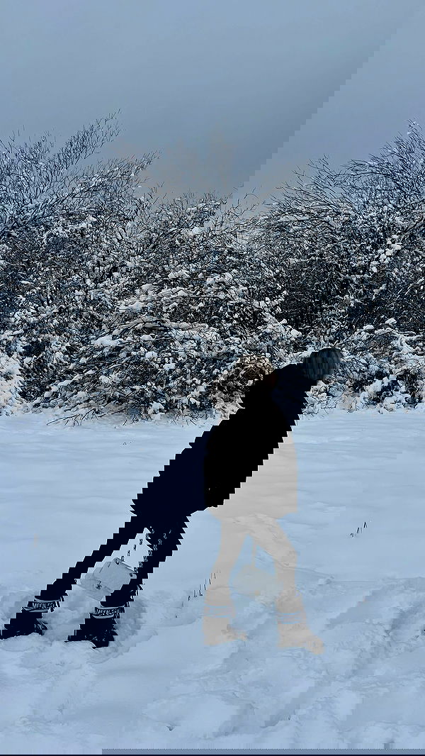 payton.r payton.r archive image