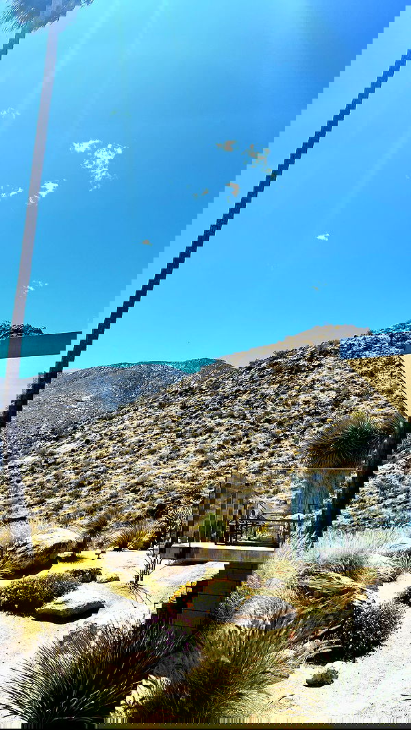 payton.r payton.r archive image