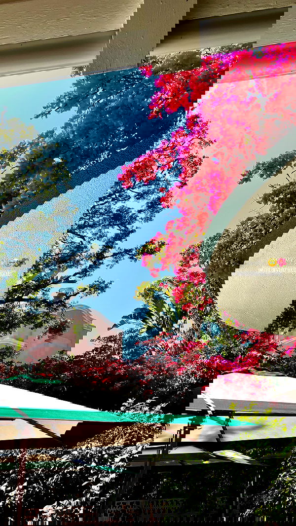 payton.r payton.r archive image