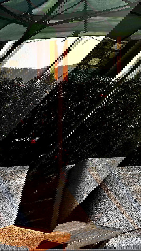 payton.r payton.r archive image