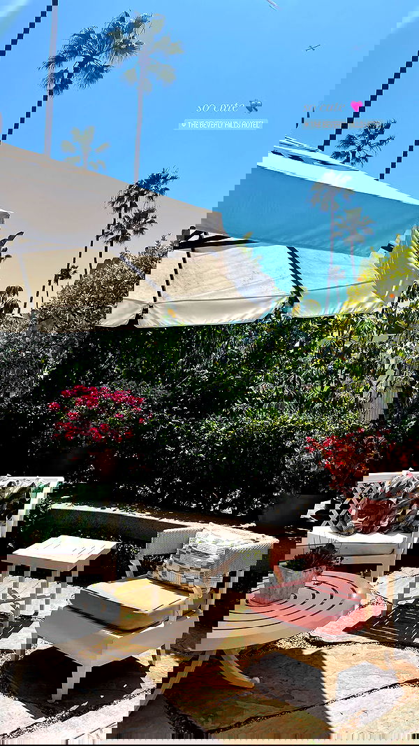 payton.r payton.r archive image