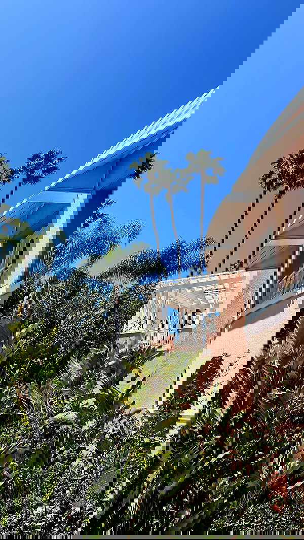 payton.r payton.r archive image