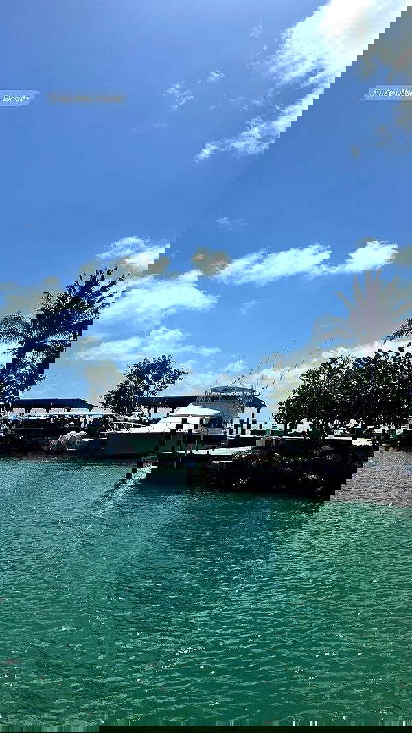 payton.r payton.r archive image